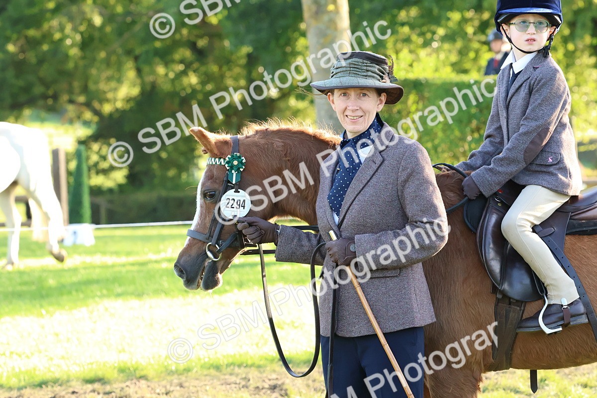 SBM_53077 - S29 - Mature Veteran Ridden