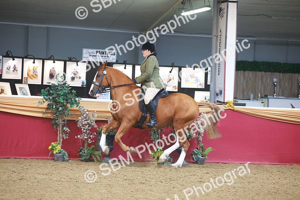 SBM_10558 - Class 103 - HOYS Veteran Qualifier - Ridden Pre Vet