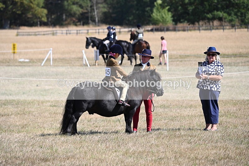 WJ6_7709 - Class 36 Lead Rein
