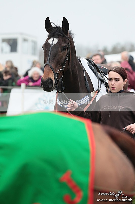 PtP 080326 248 - Pytchley with Woodland Point-to-Point Guilsborough 08/03/26