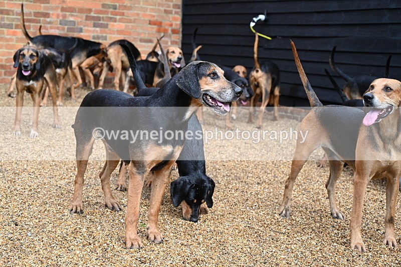 WJ7_6986 - Berks & Bucks at Blandy’s Farm 31-08-25