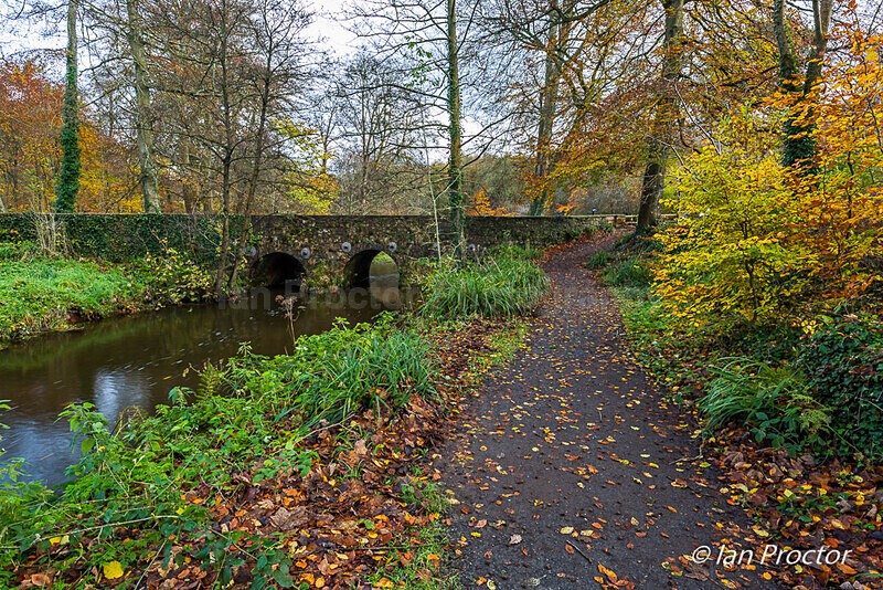 Autumntime at Minnowburn - Autumn