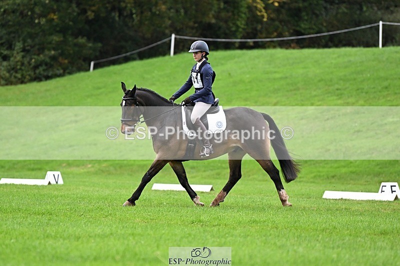 241025-092927-05803 - 441-Molly.Swain-SOCKS