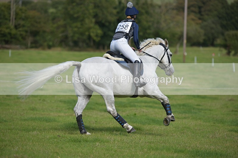 RAY_8834 - Class 2: Trekenning Open: Wall