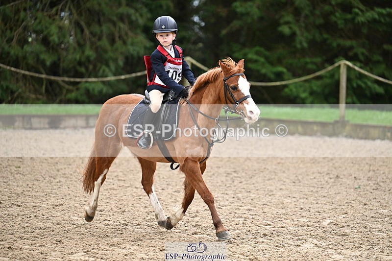 260222A-092845-00121 - 40cm Lead Rein and Assisted