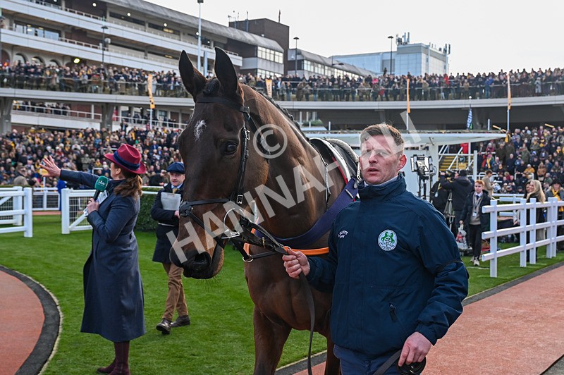 250125-Race 5-Fils dOudairies-3509 - Race 5