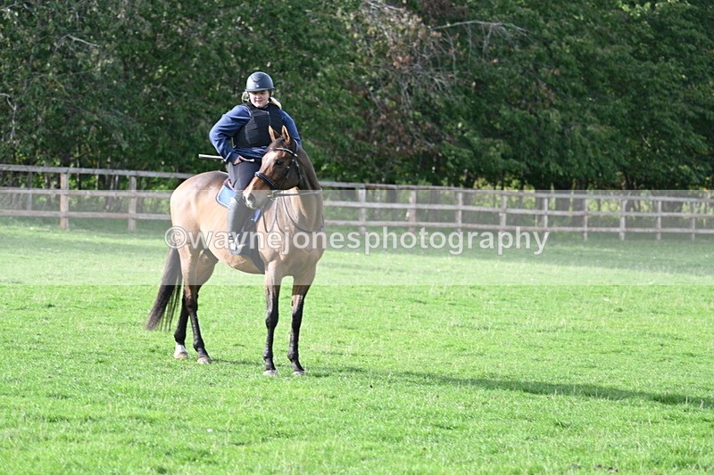 WJ7_1012 - Time 14:27 to 15:11