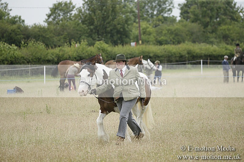 B230619-0744 - Bourne Valley Riding Club Summer Show 23/06/19