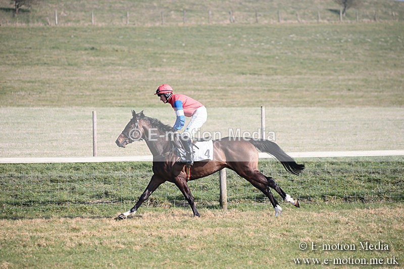 PtP 230219 149 - Vine & Craven Point-To-Point - Barbury 23/02/19