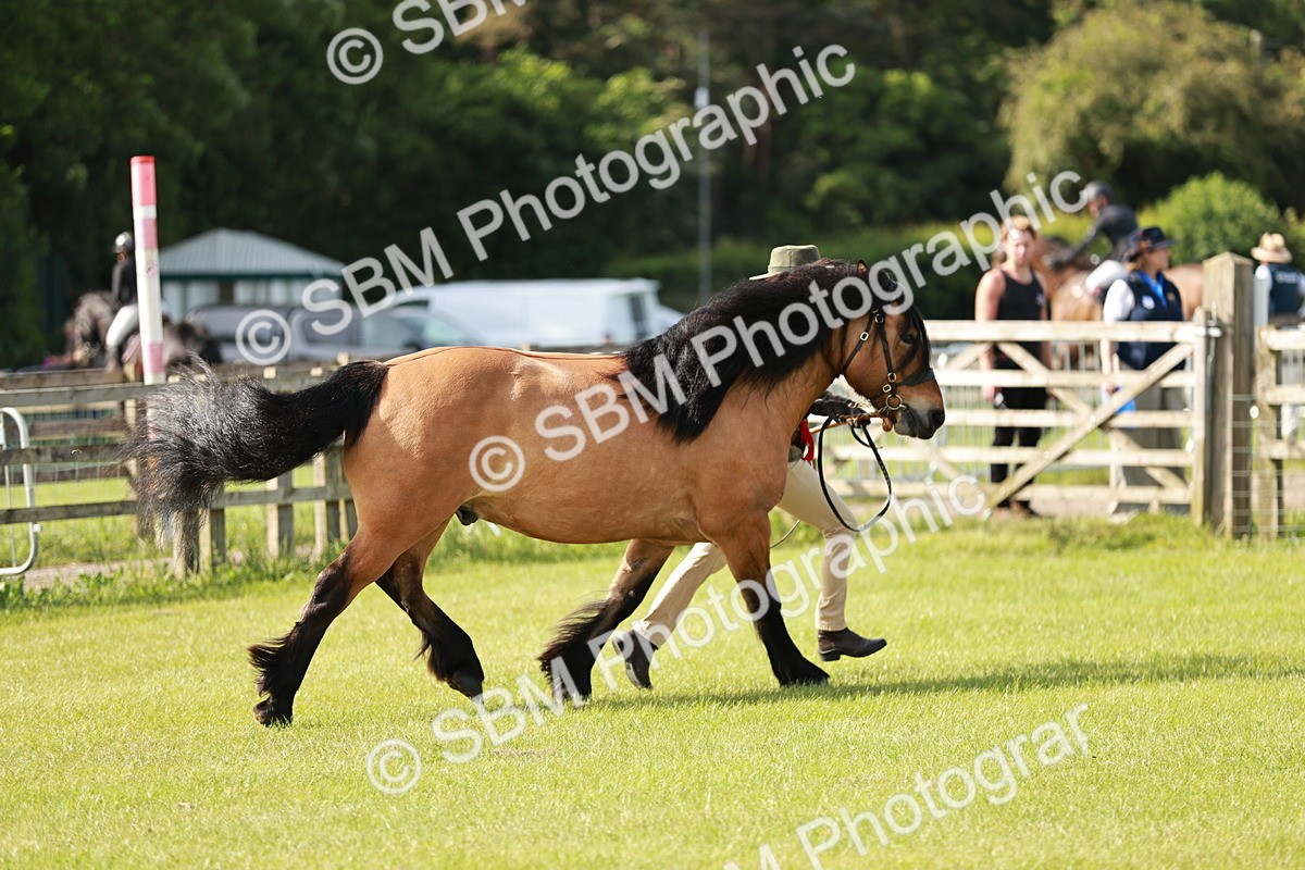SBM_00864