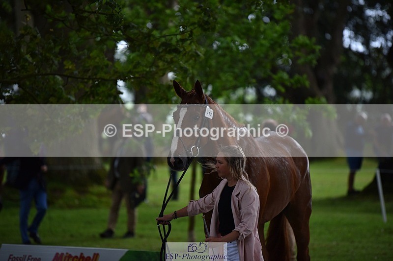 240522-151136-00153 - 312-DALOUBET_MANSOLEIN_Z-Kat_Raybould