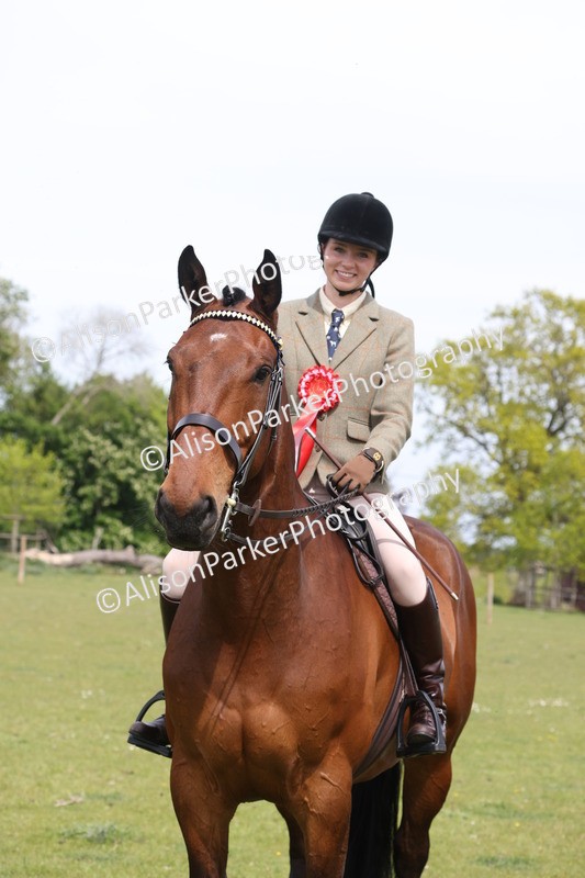20260426-4428 - Class 34 - Best Riding Horse Over 14.2hh