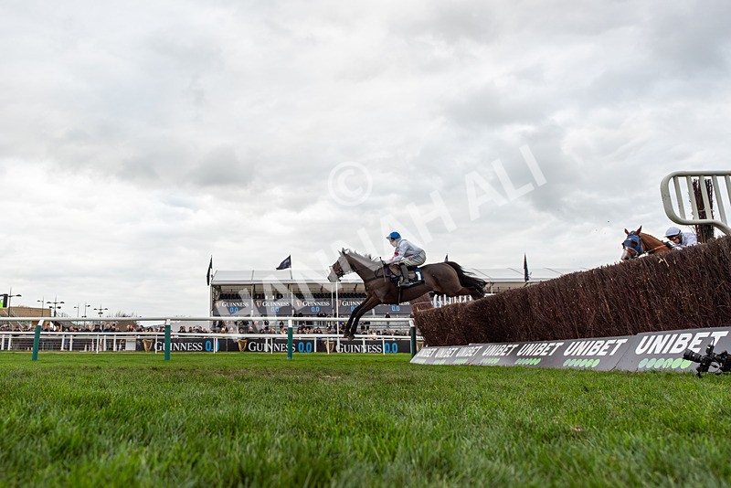 161125-Race 4-Protektorat-3031 - Race 4