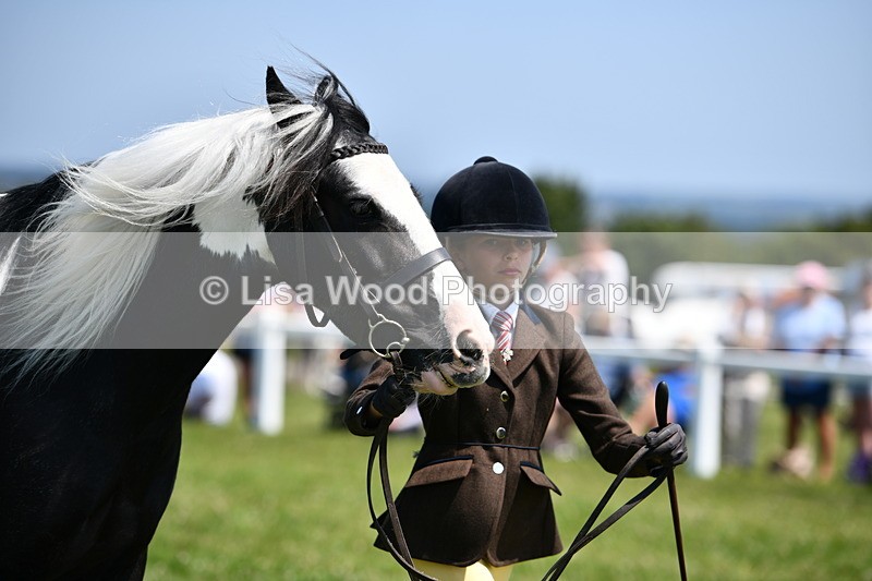 DSC_7690 - Class 64: Coloured Pony 4yrs & over