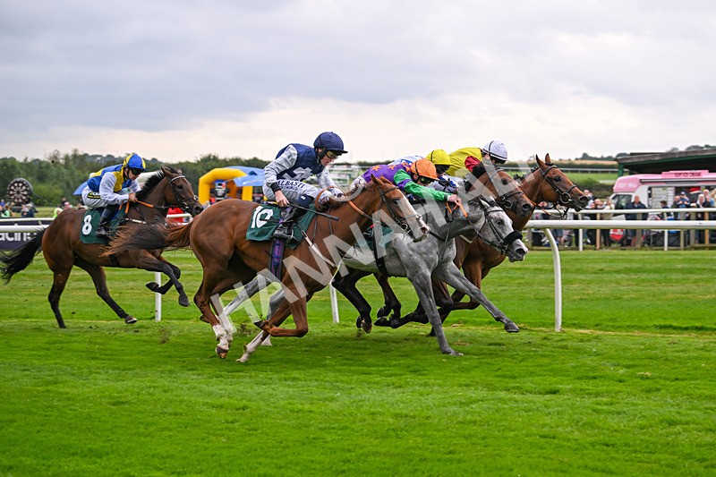 190824-Race 2-The Feminine Urge-3405 - Race 2