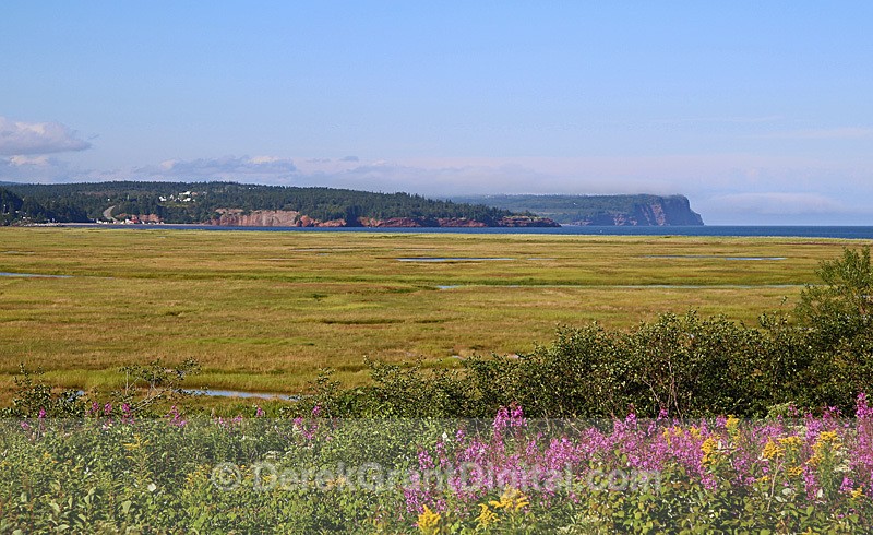 Bay of Fundy Salt Marsh - Fundy Postcards