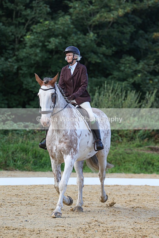 3E7A2422 - Class 1: Intro 4 2024 section A