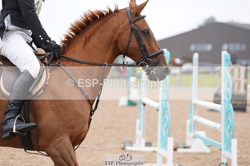 240901A-114006-06654 - 460-Harry.Rowcliffe-22.CARROT.GOLD