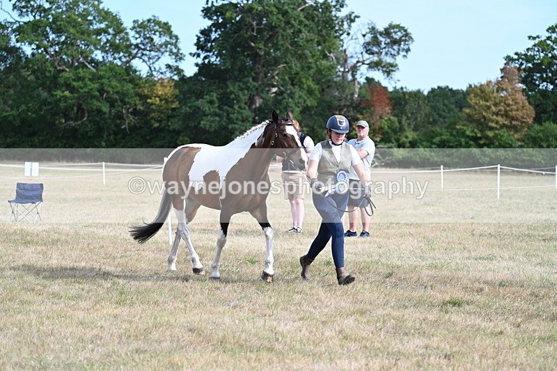 WJ7_8172 - In-hand Championship