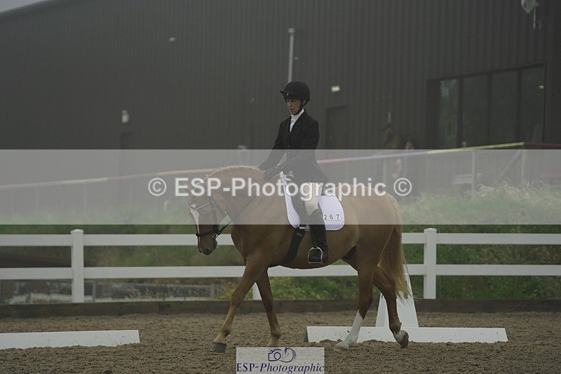 230708A-150154-03967 - Prelim 18