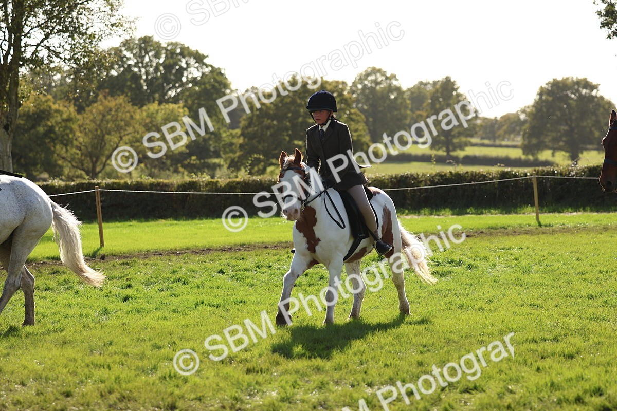 SBM_52459 - S13 - Pony Club Pony