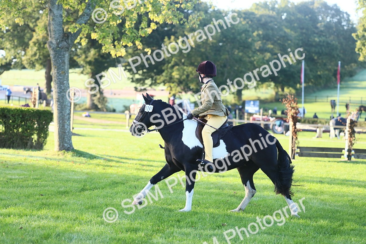 SBM_31784 - S28 - Nursery Stakes Working Hunter Pony