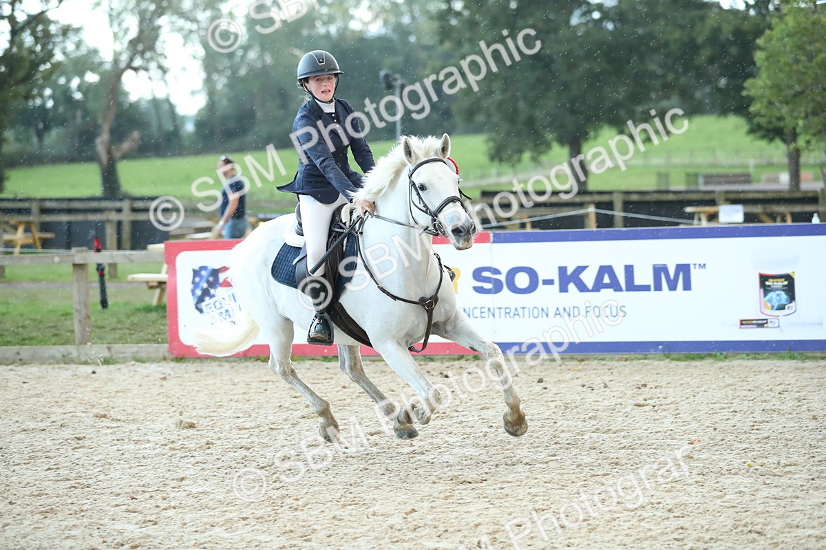 SBM_53797 - Supreme Championship 65cm 70cm