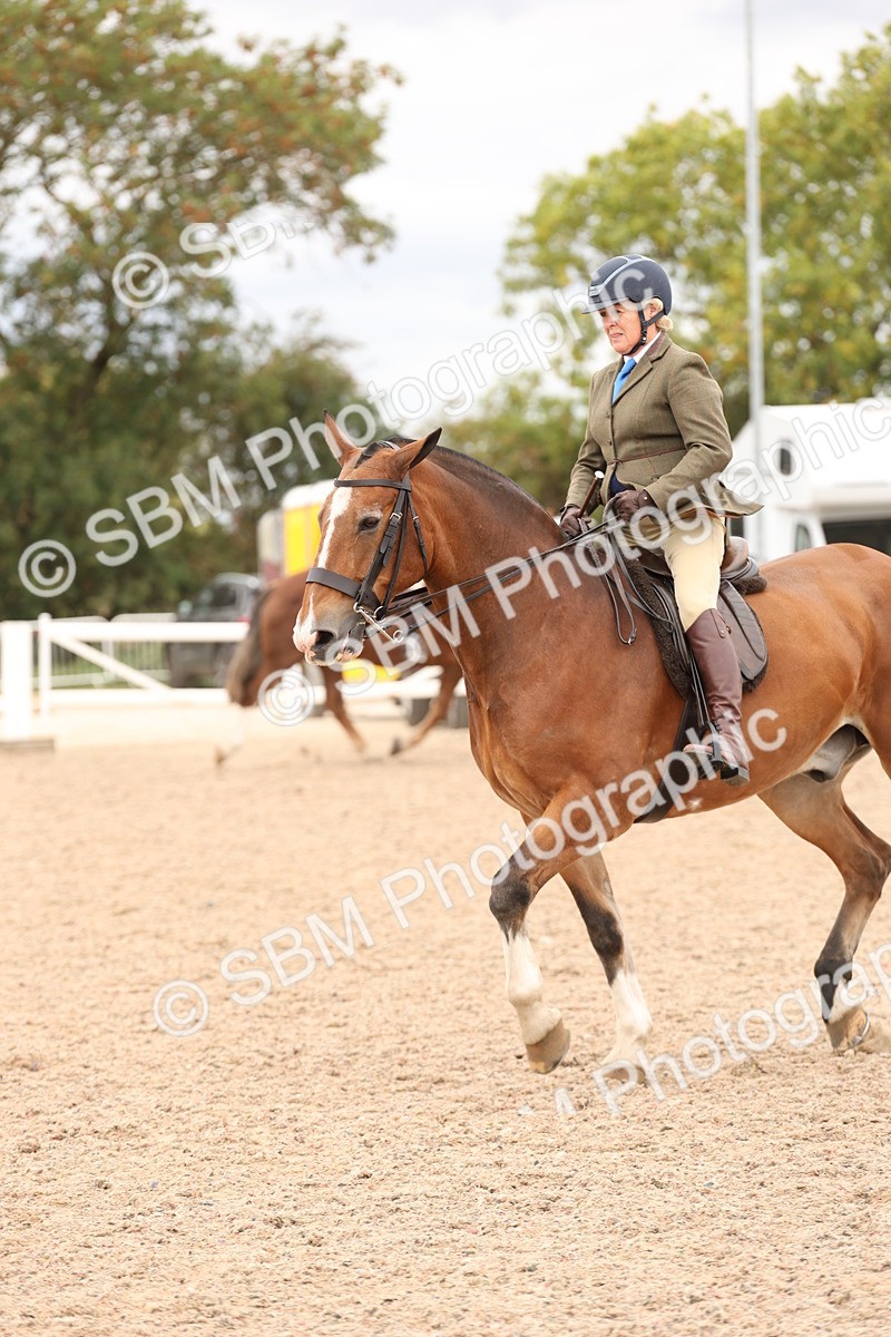 SBM_19554 - Class 215 - Ridden Show cob