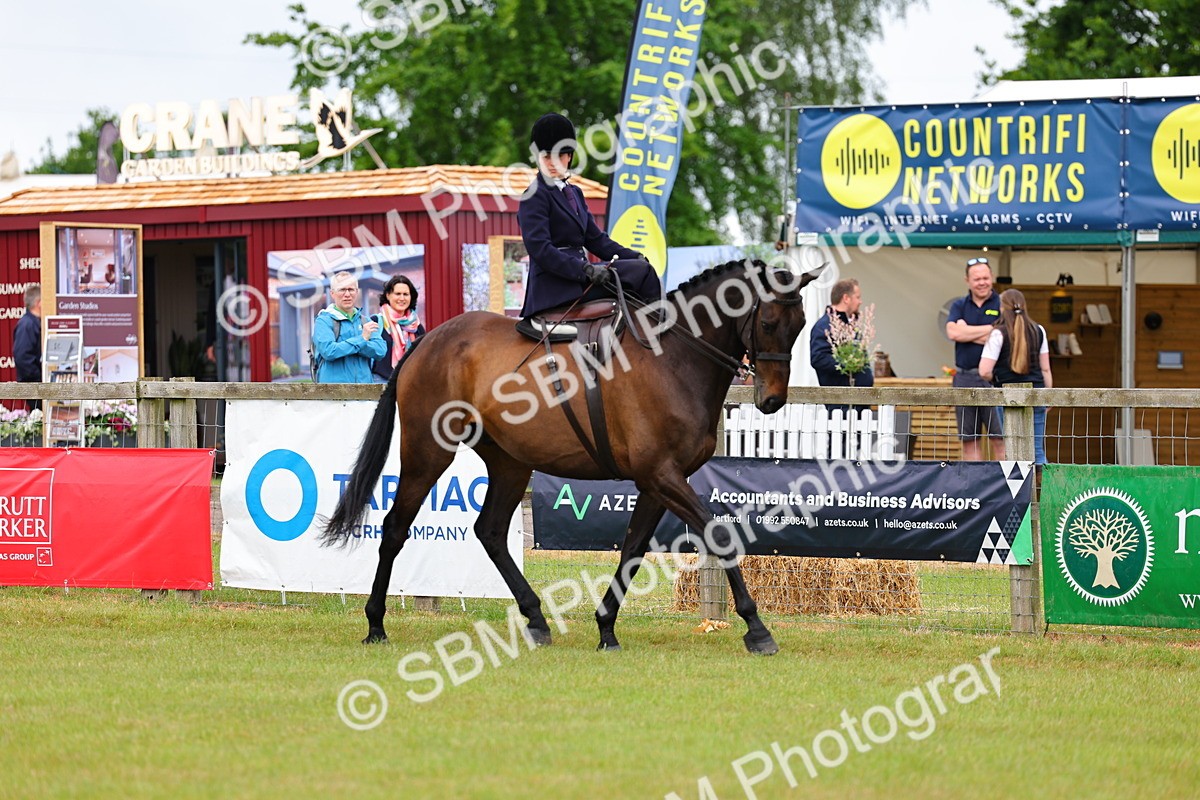 SBM_02766 - Class 9-11 Side Saddle including LIHS Rising Star Ladies Show Horse