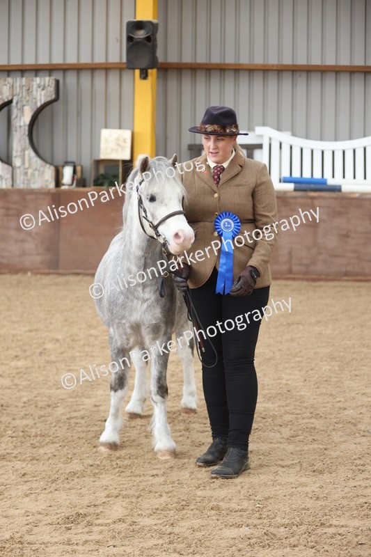 20251109-0680 - Class 22 - Geldings 4 Years and over