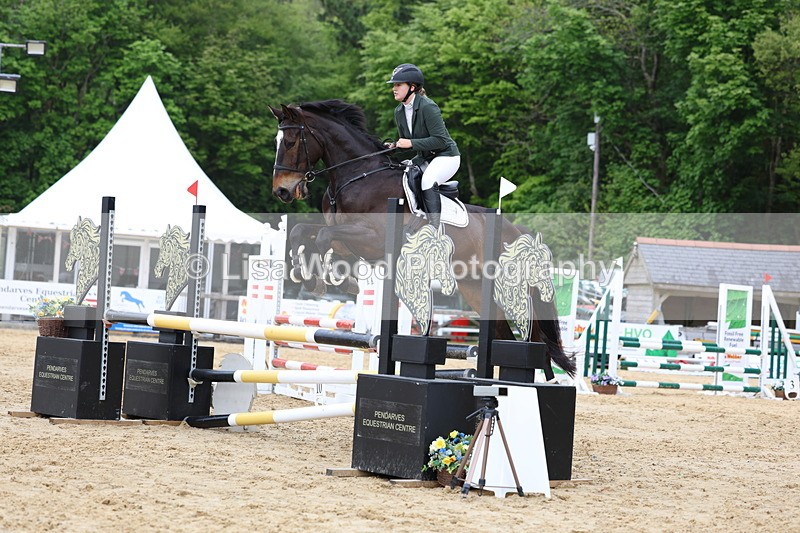 3E7A6534 - Class 4: Senior British Novice/90cm open