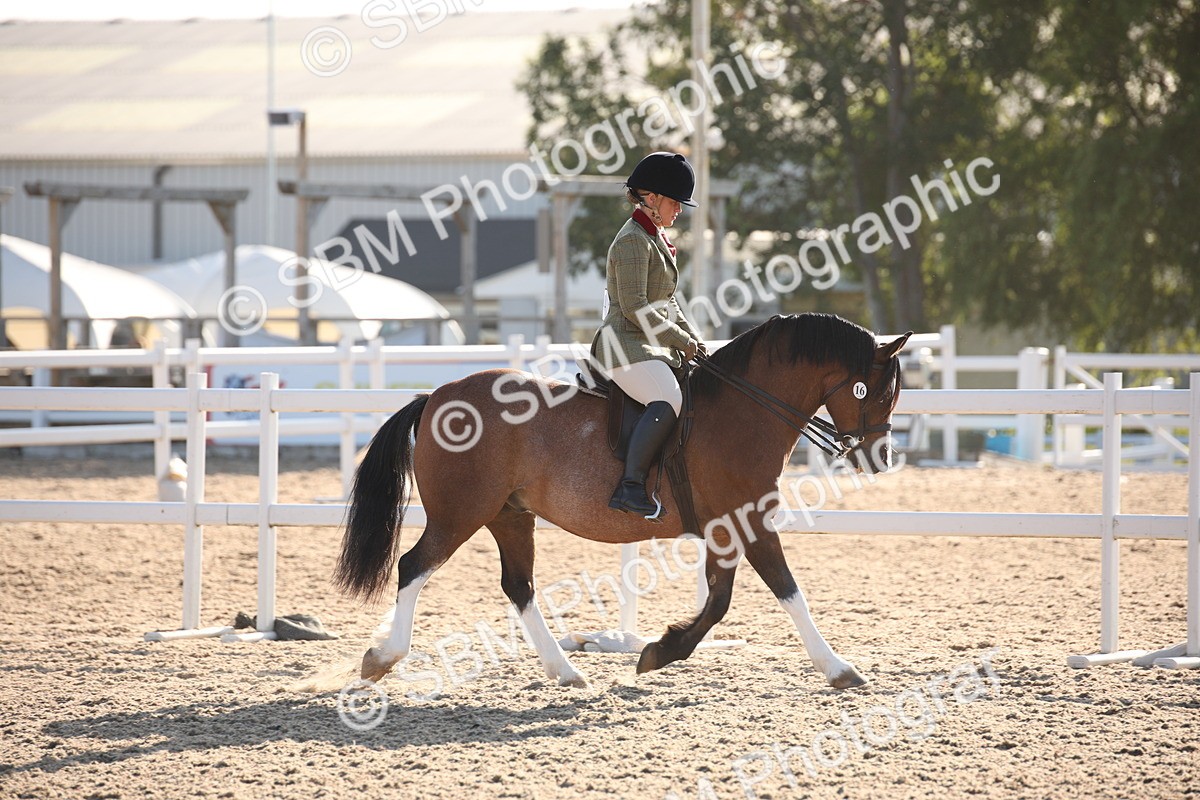 SBM_00618 - Class 14 Ridden M&M Wildcard