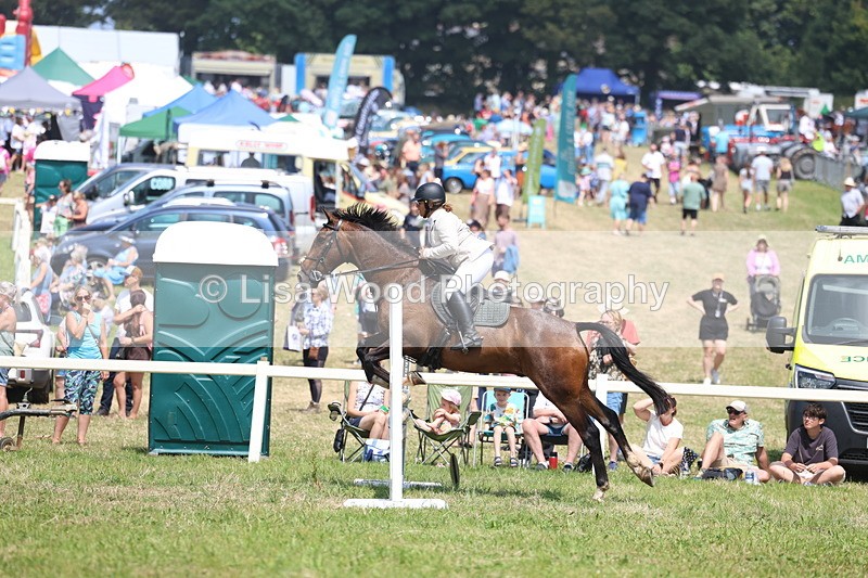 3E7A2852 - Class 7: Senior British Novice/90cm open