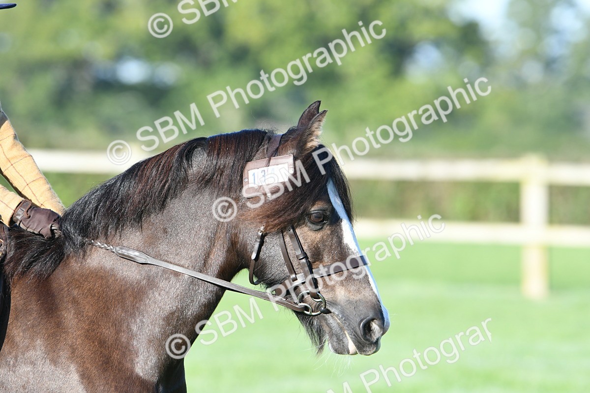 SBM_33867 - S16 - Condition & Turnout - Ridden