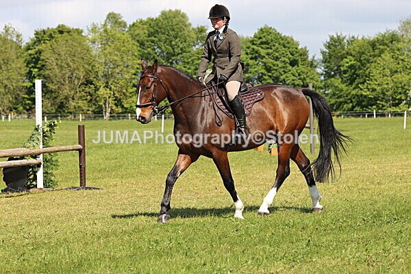 IMG_4645 - Working Hunter