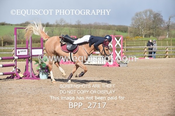 BPP_2717 - CLASS 29 STX-UK Pony BritiNovice / 0.80m Open