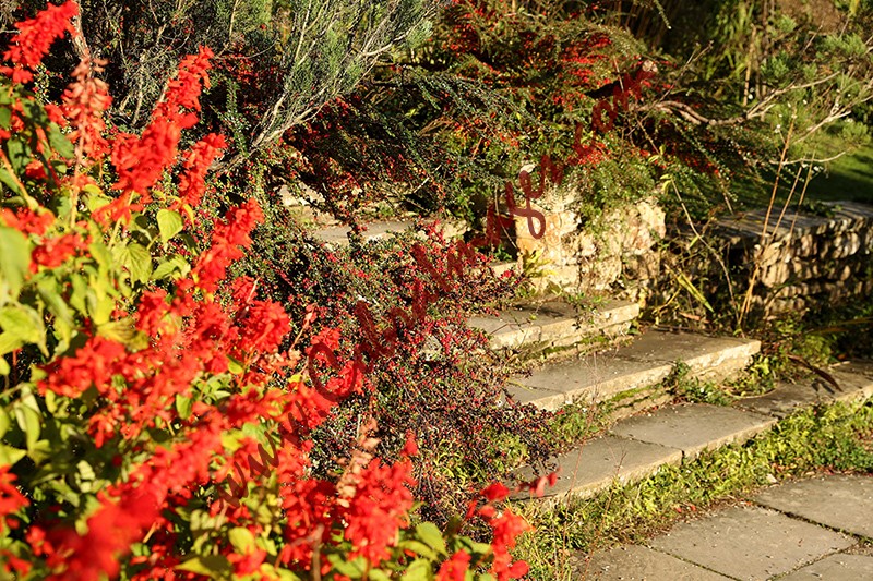 03 - Great Dixter, early November 2020