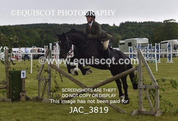 JAC_3819 - 65cm WORKING HUNTER