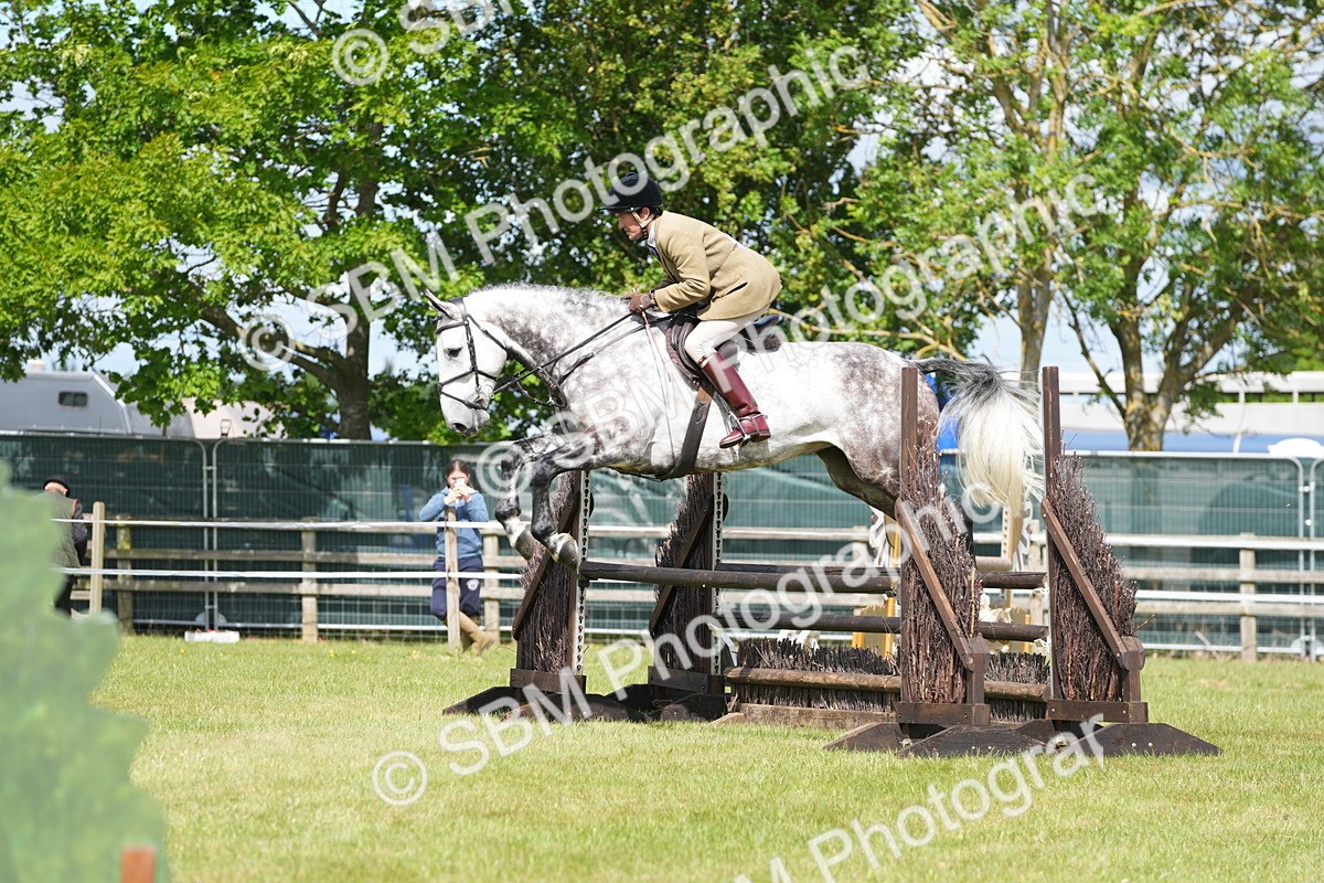 SBM_14842 - Class 100-102 - RIHS Working Hunter
