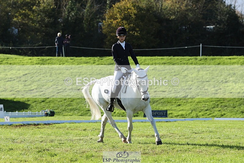 251024A-143940-14088 - F-479-Poppy.Wellman