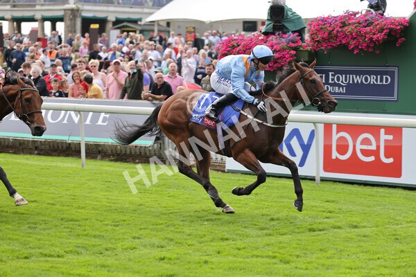 yr18082021r1-62 - Race 1 1.50pm Sky Bet & Symphony Group Stakes