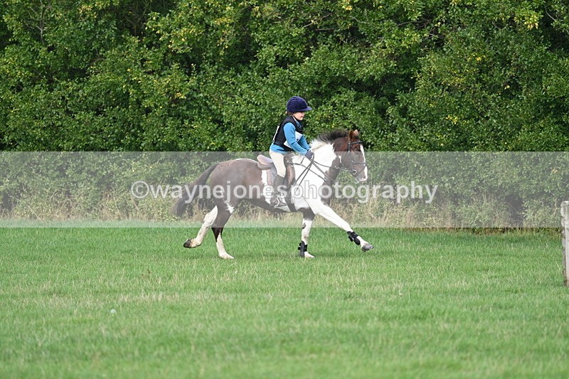 WJ7_8425 - 60cm Pairs