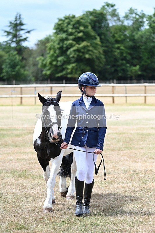 WJ7_1675 - Class 4 Prettiest Mare up to 14.2hh in hand