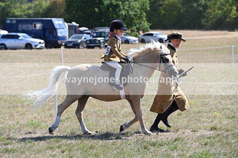 WJ6_7743 - Class 36 Lead Rein