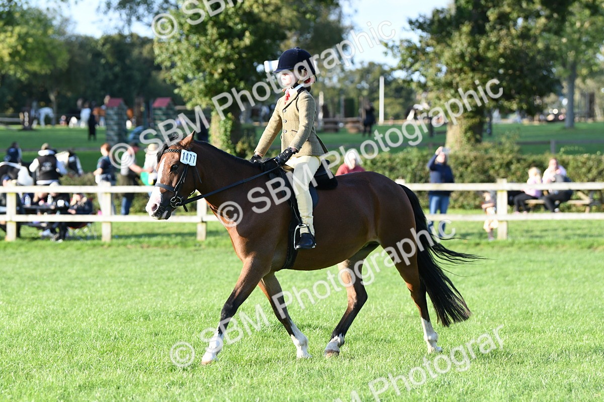 SBM_54123 - S23 - 1st Ridden Mountain & Moorland Pony