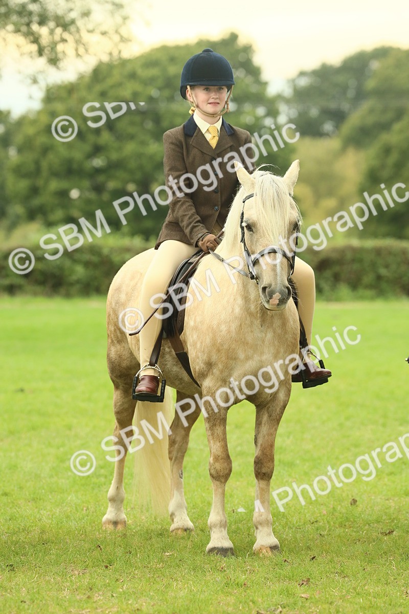 SBM_72207 - S60 - Mountain & Moorland Ridden Large Breeds