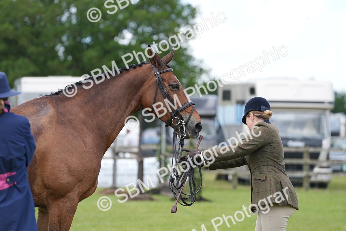 SBM_15047 - Class 100-102 - RIHS Working Hunter
