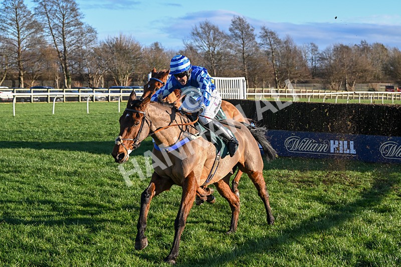 010125-Race 2-Beat The Edge-5873 - Race 2