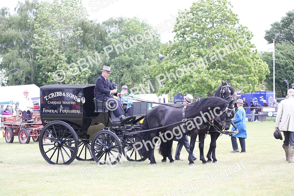 SBM_07018 - Class 16 - Light Trade