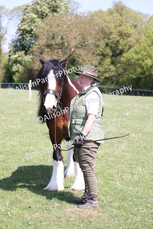 20250427-2978 - Class 27 - Coloured Horse and Pony